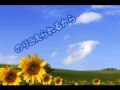 Happy clover.wmv