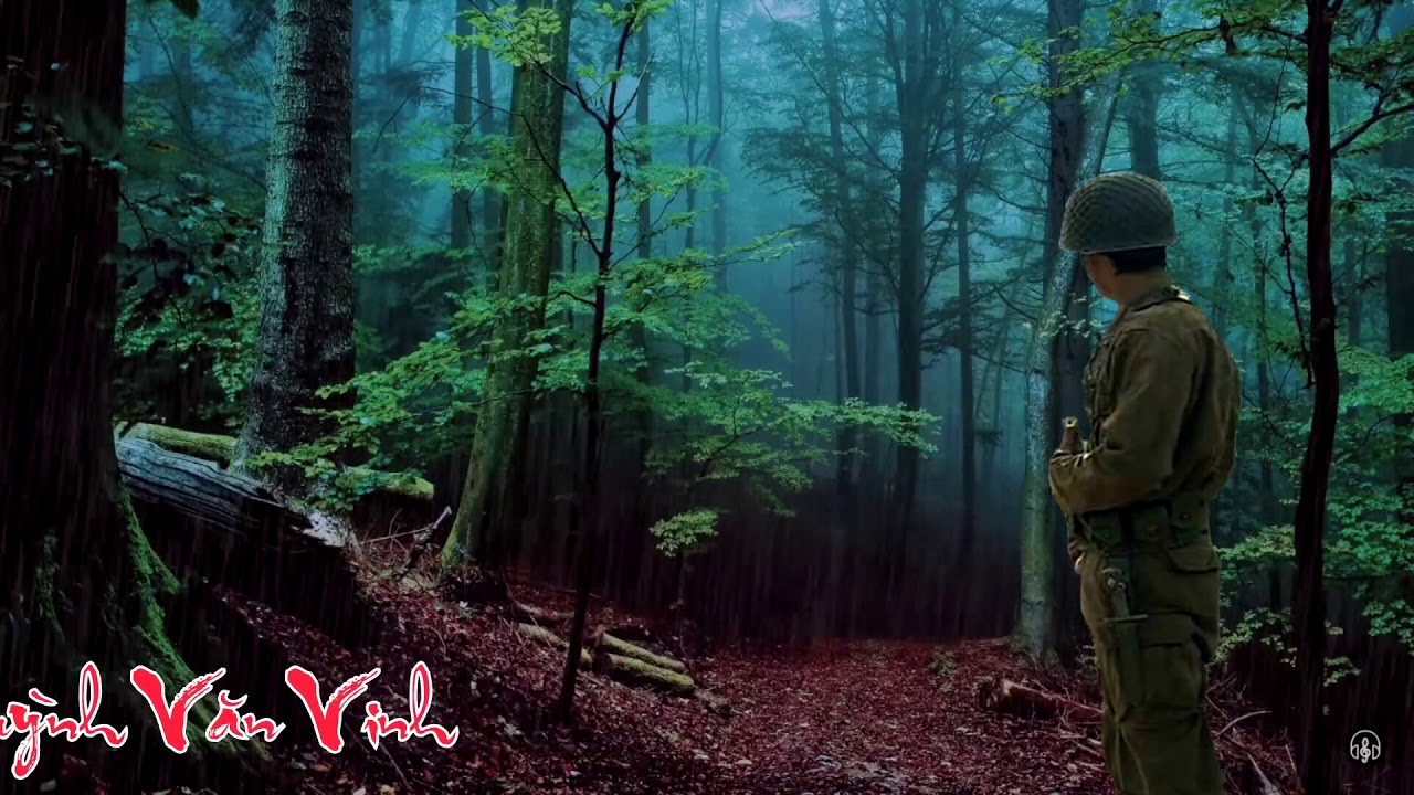 karaoke mau ao hoa rung - YouTube