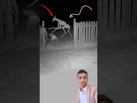 لحظة ارتجف فيها الهواء المخلوق يهاجم بسرعة والكلب يقفز ليدافع عن نفسه بشراسة اكسبلور لايك دويتو