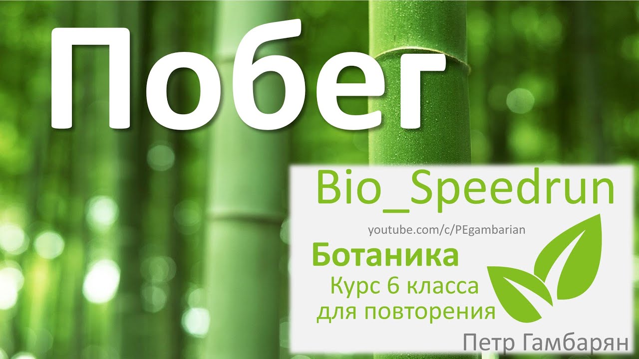 Курс по ботанике. Ботанические науки 6 класс. Побег ЕГЭ. Июнь ботаника. Ботаника ОГЭ.