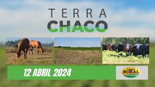 HARAS 3M - TRES ISLETAS // SOJA Y MAÍZ // CHICHARRITA Y GANADERÍA - VILLA ANGELA  | TERRA CHACO