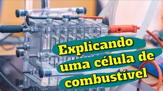 Explicando células de combustível com membrana de hidrogel