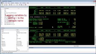 Working with Panel Data 1