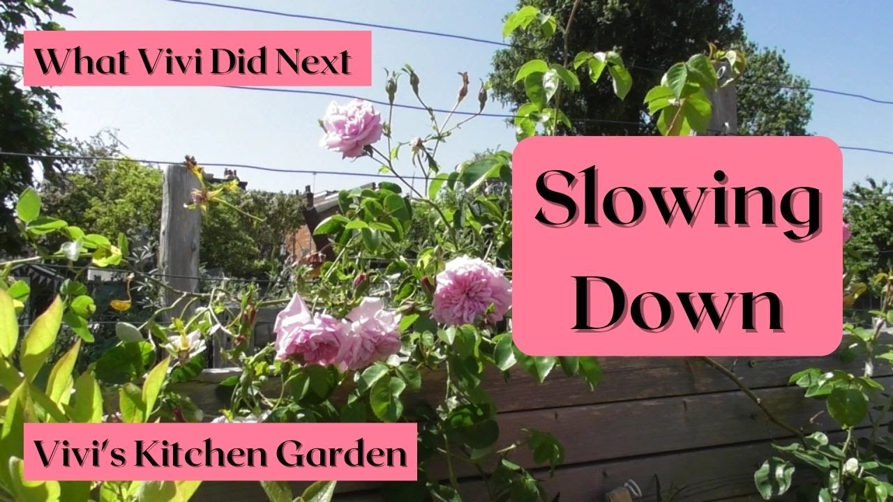 Vivi's Kitchen Garden: Slowing Down.