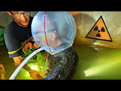 Video: Fukushima-mutanter - Alternativ Visning