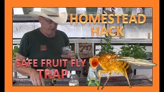 HOMESTEAD HACK - SAFE FRUIT FLY TRAP by PINE MEADOWS HOBBY FARM A Frugal Homestead 177 views 3 weeks ago 6 minutes, 36 seconds