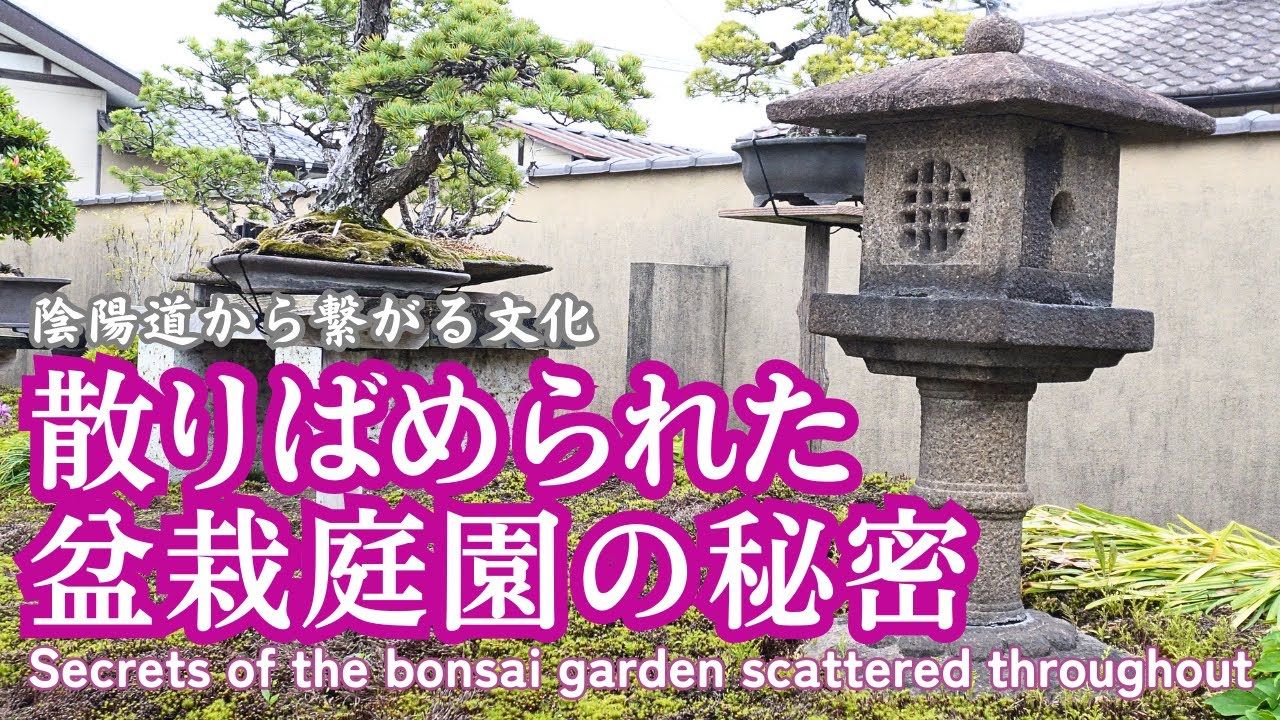 散りばめられた盆栽庭園の秘密～羽生雨竹亭に施された陰陽道から繋がる守りの文化～