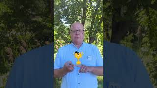 Wie ist der Gemeinderat in St.Marienkirchen aufgeteilt? 📊🏛️ #BiS #StMarienkirchen #Gemeinde