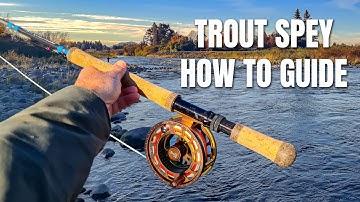 Trout spey for beginners, what you need to know