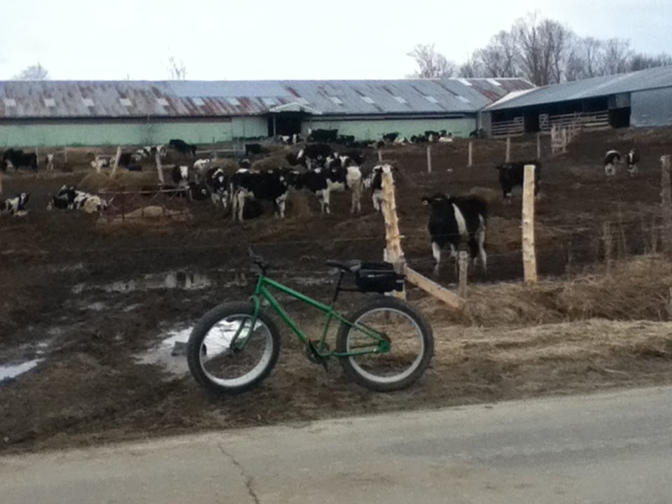 Mongoose Beast Modification Overview