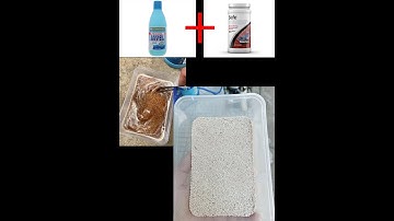 Hướng Dẫn Hoàn Nguyên Purigen Cho Hồ Thủy Sinh Đơn Giản với Nước Tẩy Javen & Seachem Safe