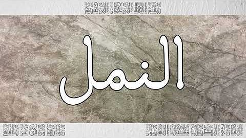 القرآن سورة النمل ورش القارئ الطيب كحل العيون 027
