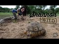 African Reptile Park : Shannon Wild : AnimalBytesTV