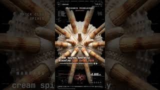 Pencil Urchin — REGENERATION: Regrows snapped club-spines from the stump | Coralis Error