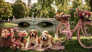 Bright Summer Day at the Park Ambience, Calming Classical Background Cafe Music for Relaxing