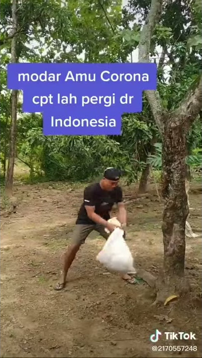 Story lucu corona