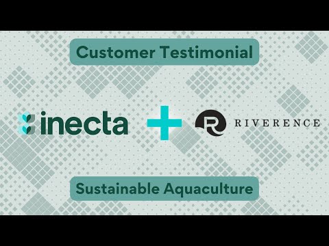 Riverence Aquaculture Elevated with inecta Food - video from inecta