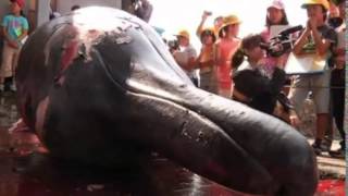 Japanese town marks start of whaling season by carving up animal in front of school children