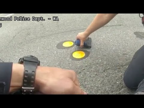 Lynnwood Pd Twittercareer Detail