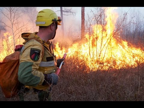 Пожары в Якутии 2013 - Командировка Забайкальской группы на тушение лесных пожаров