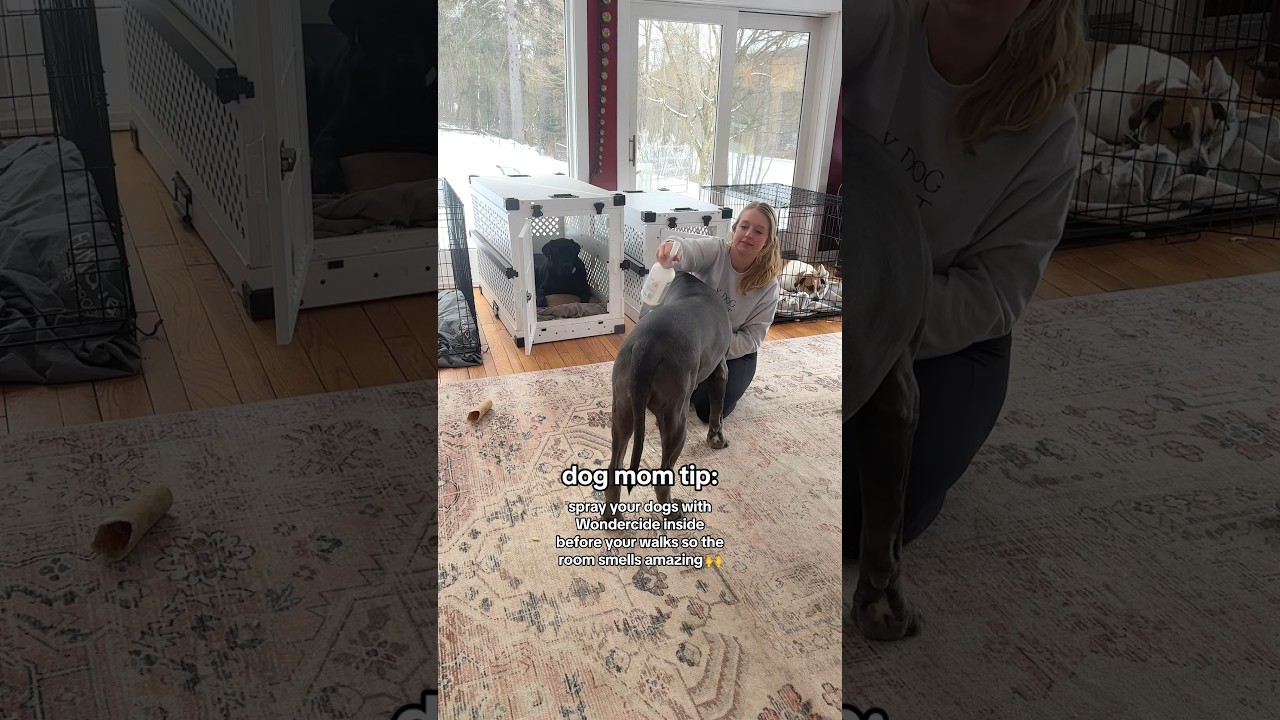 dog mom tip: spray your dogs with Wondercide inside before your walks so the room smells amazing 🙌