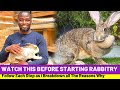 Rabbit Farming: Things To Consider Before You Start a Rabbit Farm