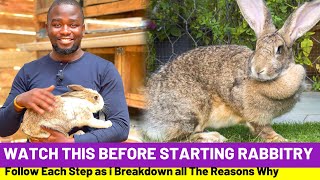 Rabbit Farming: Things To Consider Before You Start a Rabbit Farm