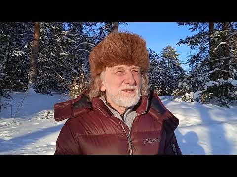 Истинные причины болезней