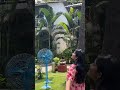 #dailyvlog #wedding #rajasthaniswag #goavlog #vlog #love #marwadiswag #goatrip #goawedding #shaadi