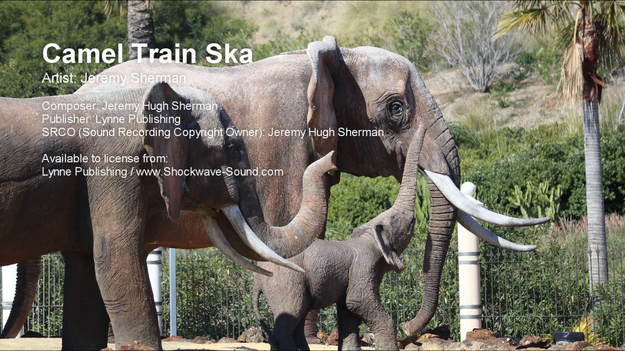 Watch Camel Train Ska - Jeremy Sherman (Lynne Publishing) on YouTube Watch Camel Train Ska - Jeremy Sherman (Lynne Publishing) on YouTube