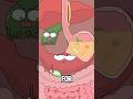 Why does your mouth taste bitter after eating?#animation #funny #shorts