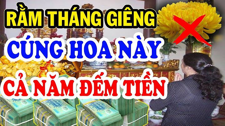 Tiếng anh từ cảm ơn là gì năm 2024