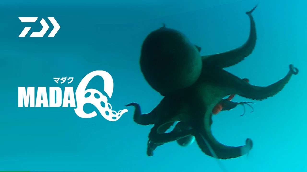 マダク タコ釣り専用のタコルアー 使用方法を開発者が解説 Youtube