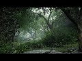 The Last of Us 2 - One Hour of Ambient and Nature Sounds