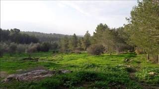 ליקוטי הלכות - השקמת בוקר א - חלק שני - סעיפים ו'-יא
