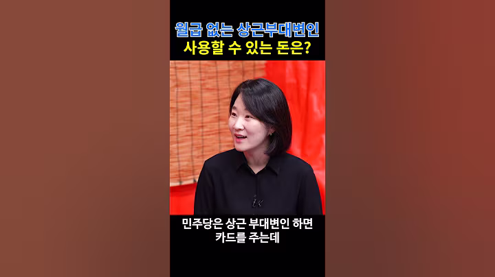 월급 없는 상근부대변인 사용할 수 있는 돈은?