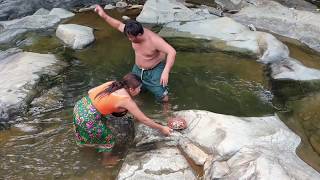 Download Survival Skills:find Red Ant By Hand - Cook Eating Delicious #39 Video MP3 Survival Skills:find Red Ant By Hand - Cook Eating Delicious #39