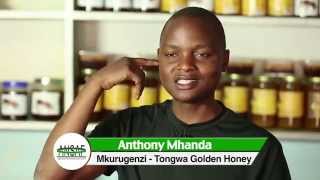 Anthony Mhanda - Kilimo Biashara katika shughuli ya ufugaji nyuki na uvunaji wa asali.
