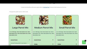 SureCart Custom WordPress Elementor Product Page-WordPress Ecommerce Custom Shop Page Specialist