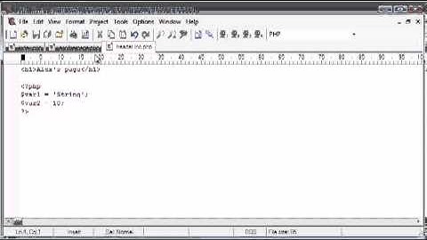 Beginner PHP Tutorial  42 - include and require Functions