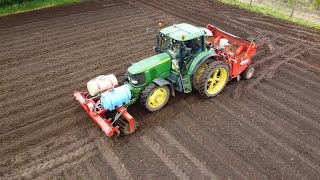 Planting potatoes