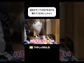 会話ボタンで大好きなものを教えてくれるシェルティ #shorts