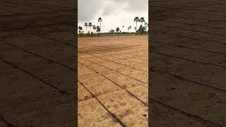 Netafim drip💧 irrigation system in agriculture land