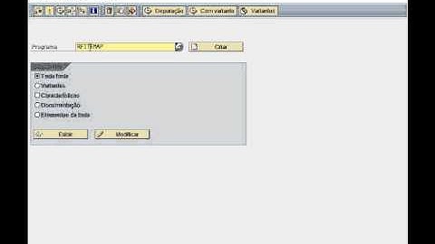 SE38 - transaction of a program