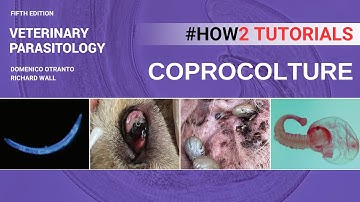 Coproculture - Veterinary Parasitology Textbook - Otranto/Wall - 2023
