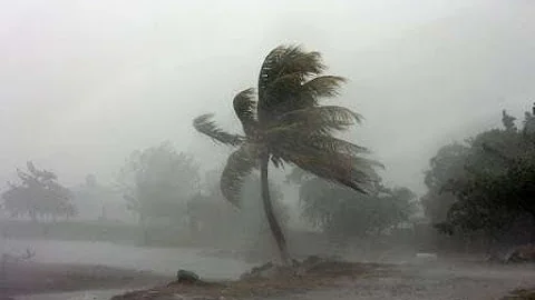 How to Survive Hurricane Irma