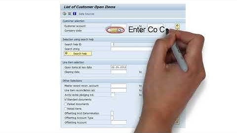 AR Customer Open Items - S_ALR_87012174