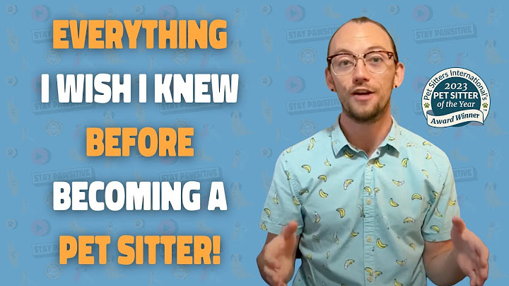 What I Wish I Knew Before Becoming a Pet Sitter