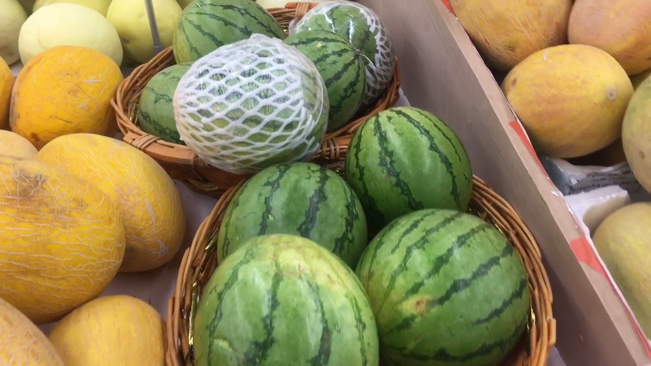WATER MELON FESTIVAL