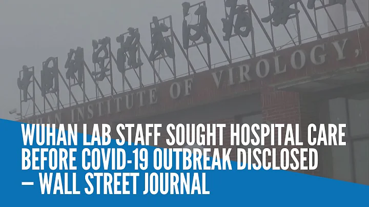 Wuhan lab staff sought hospital care before COVID-19 outbreak disclosed — Wall Street Journal - DayDayNews